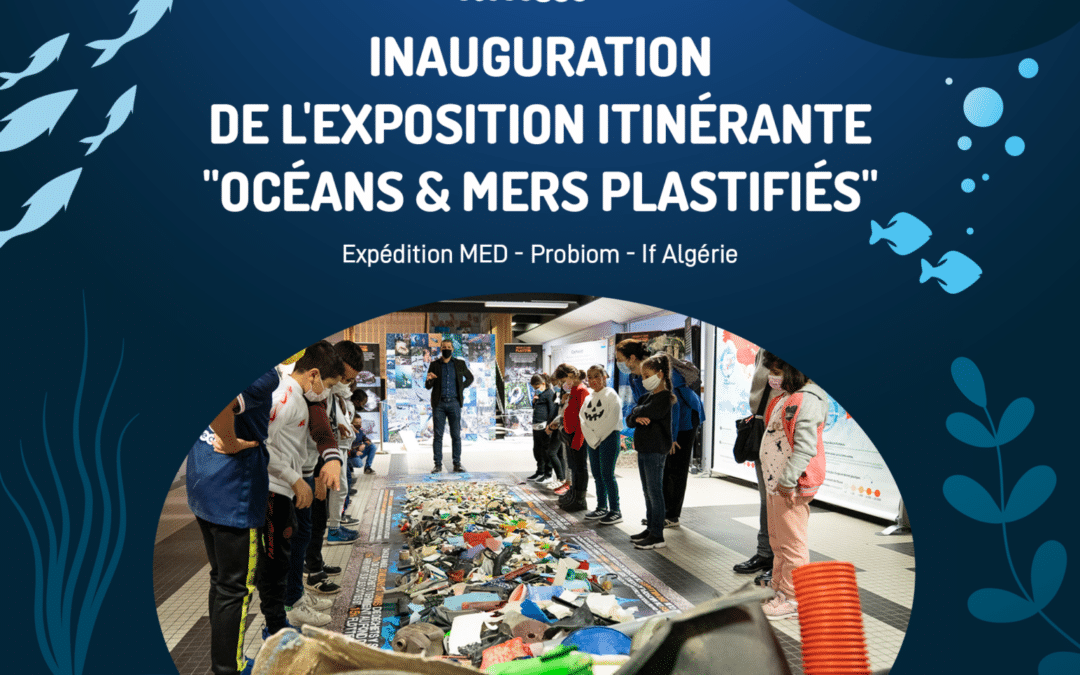L’exposition « Océans et mers plastifiés » en Algérie